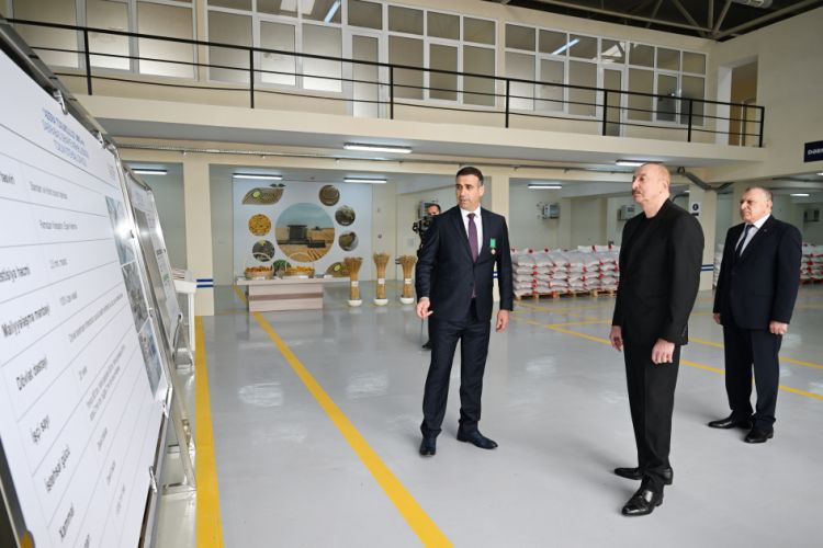 Sabirabad Sənaye Məhəlləsində toxum istehsalı müəssisəsinin fəaliyyəti ilə tanışlıq<font color=red> - FOTOLAR</font>