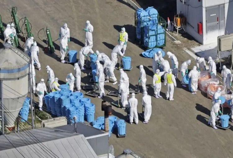 Yaponiyada üçüncü quş qripinə yoluxma halı təsdiqlənib