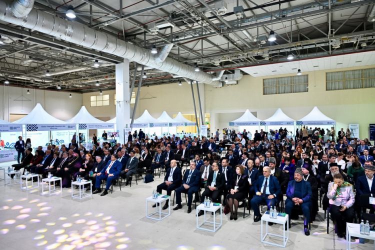 Bakıda “Fərqliliyin rəngi” adlı festival keçirilib<font color=red> - VİDEO</font>