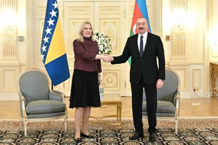 Bosniya və Herseqovinanın Rəyasət Heyətinin üzvü Zəfər Günü münasibətilə İlham Əliyevi təbrik edib