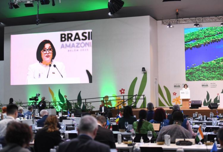 Sahibə Qafarova: Azərbaycan Prezident İlham Əliyevin rəhbərliyi ilə ən uğurlu COP-lardan birinə ev sahibliyi edib