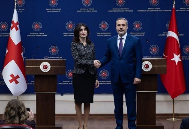 Türkiyə və Gürcüstanın XİN başçıları arasında təyyarə qəzası ilə bağlı telefon danışığı olub