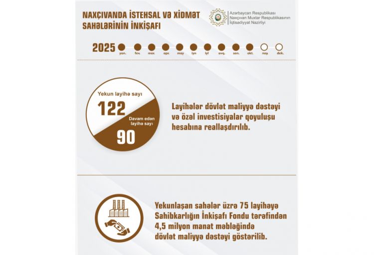 Naxçıvanda 75 layihəyə 4,5 milyon manat dövlət maliyyə dəstəyi göstərilib