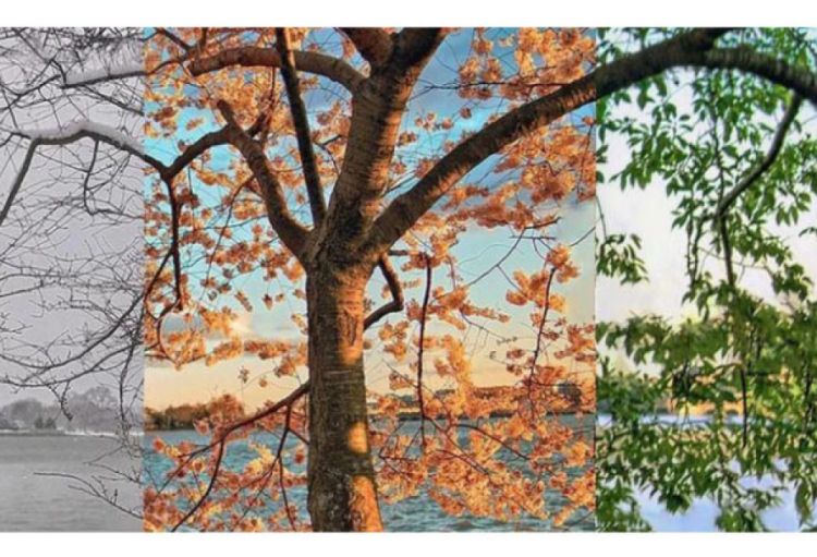 Gələn il fəsillərin Azərbaycana daxilolma vaxtları açıqlanıb