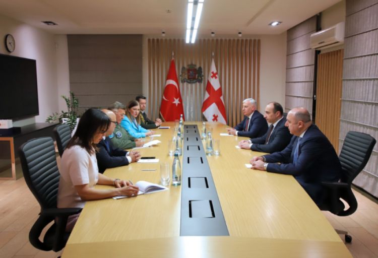 Türkiyə nümayəndə heyəti Gürcüstanda təyyarə qəzasının baş verdiyi əraziyə baxış keçirib