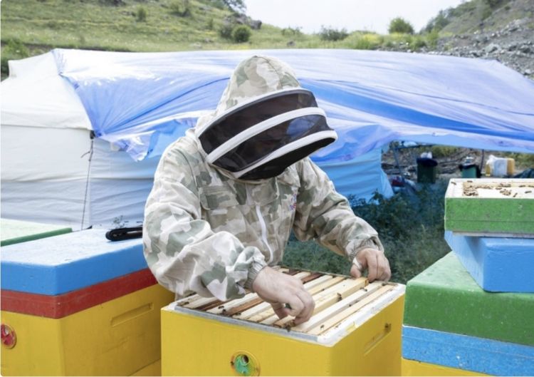 Azad olunan ərazilərə köçürülən sakinlərdən 7 027 şəxsin məşğulluğu təmin edilib