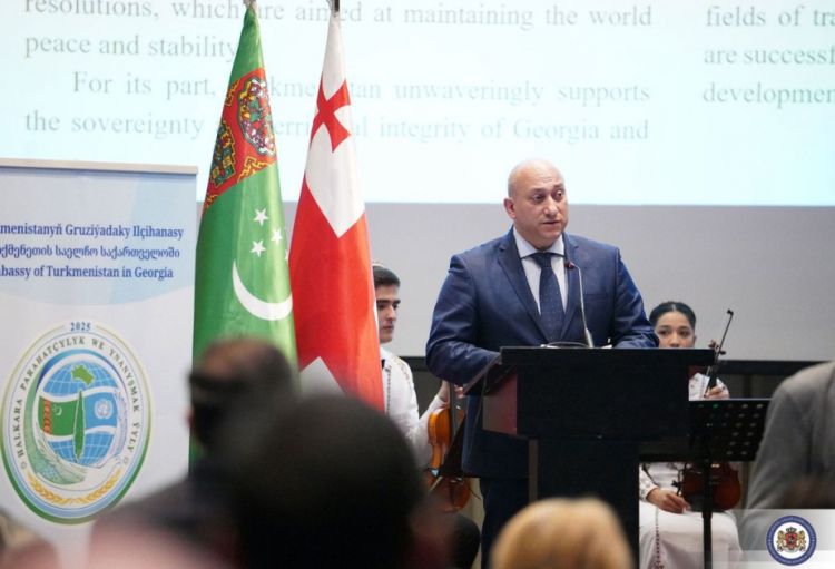 Gürcüstan və Türkmənistan Orta Dəhliz çərçivəsində əməkdaşlığı genişləndirirlər