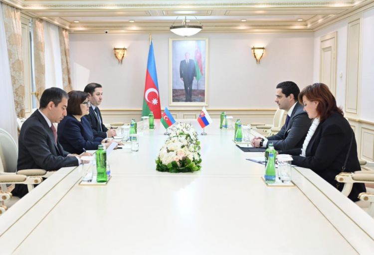 Azərbaycan və Slovakiya qanunverici orqanları arasında əməkdaşlığın genişləndirilməsi məsələsi müzakirə olunub