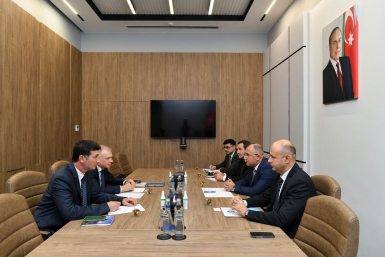 RİNN-də Beynəlxalq Əmək Təşkilatı ilə görüş keçirilib<font color=red> - FOTOLAR</font>