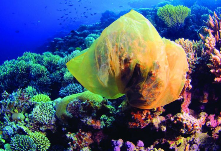 Misirdə sərt qaydalar: Turistlər ciddi dəyişikliklərə hazır olmalıdırlar