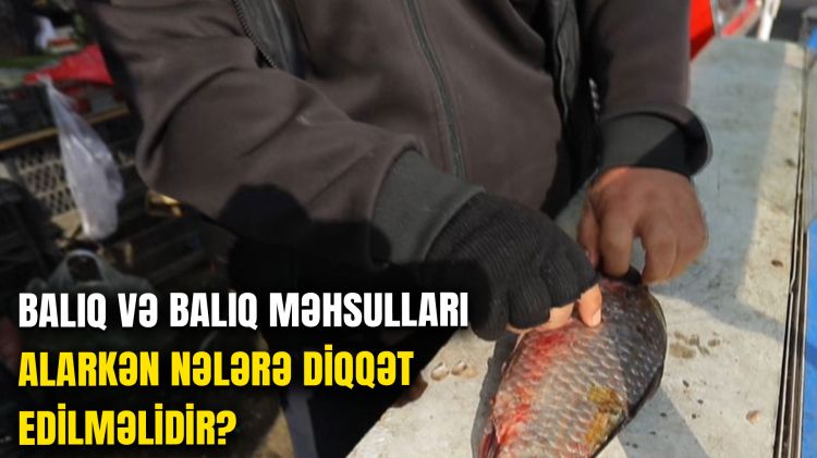 BALIQ VƏ BALIQ MƏHSULLARI ALARKƏN NƏLƏRƏ DİQQƏT EDİLMƏLİDİR?<font color=red> - VİDEO</font>