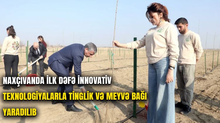 Naxçıvanda ilk dəfə innovativ texnologiyalarla tinglik və meyvə bağı yaradılıb<font color=red> - VİDEO</font>