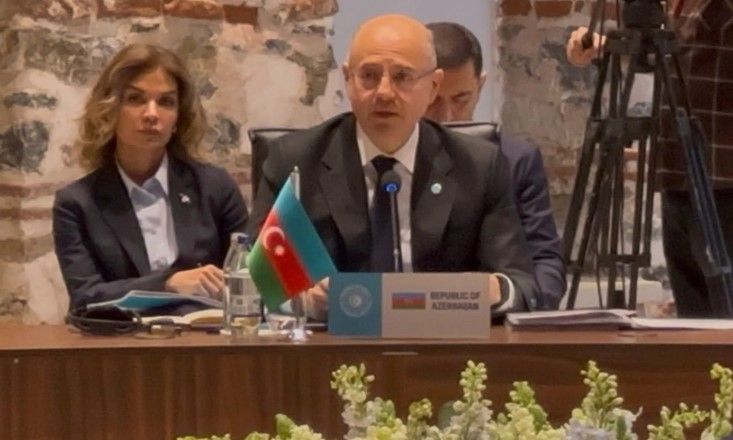 Pərviz Şahbazov: "Zəngəzur dəhlizi "Mərkəzi Asiya-Azərbaycan-Türkiyə" enerji körpüsünü yaradacaq"