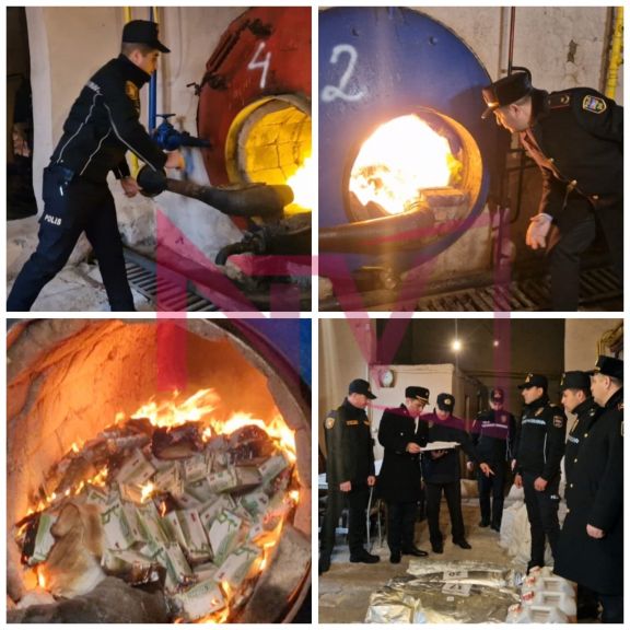 Naxçıvanda külli miqdarda narkotik vasitə məhv edilib