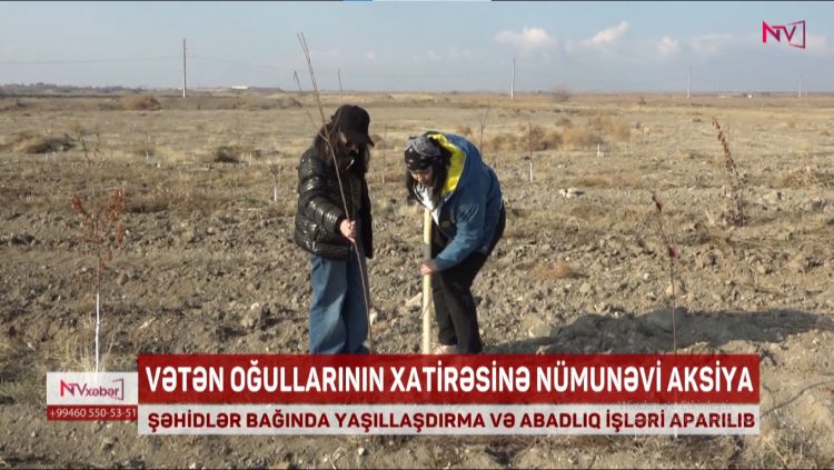 NAXÇIVANDA ŞƏHİDLƏR BAĞINDA YAŞILLAŞDIRMA VƏ ABADLIQ İŞLƏRİ APARILIB<font color=red> - VİDEO</font>