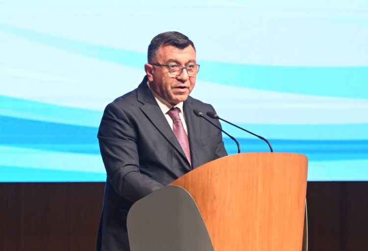 Nazir müavini: Qarabağ, Şərqi Zəngəzur və Naxçıvanın yaşıl enerji potensialının reallaşdırılması üçün infrastrukturun yenilənməsi əsas prioritetlərimizdəndir