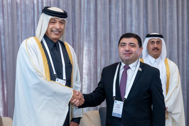 Dohada Azərbaycanın APA-ya sədrliyi dövründə həyata keçirdiyi fəaliyyətlərdən danışılıb<font color=red> - FOTOLAR</font>