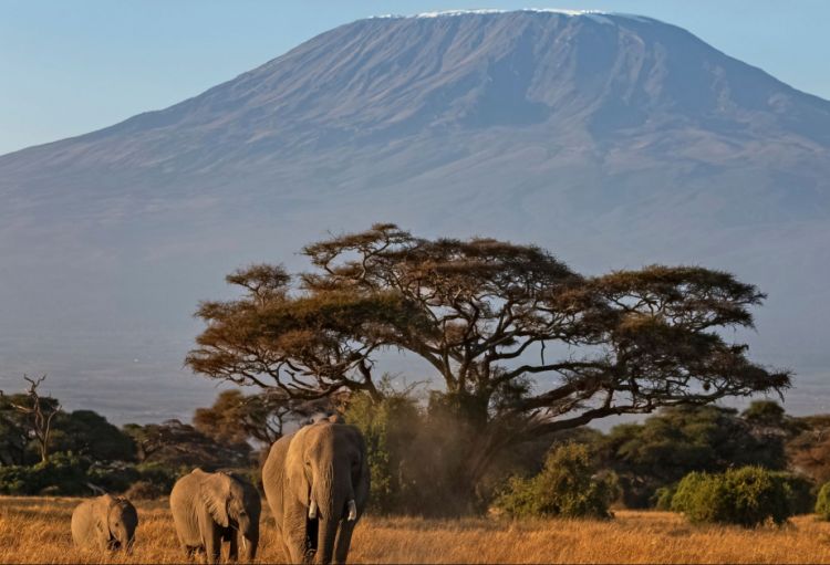 Kilimancaro dağında helikopter qəzaya uğrayıb, ölənlər var