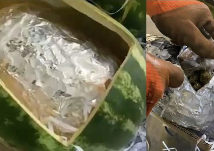 Azərbaycan gömrükçüləri qarpızdan narkotik vasitə aşkarlayıb