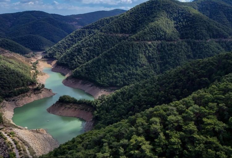 Türkiyə dünyada ən çox yaşıllaşdırma aparan ilk 3 ölkə sırasında yer alır