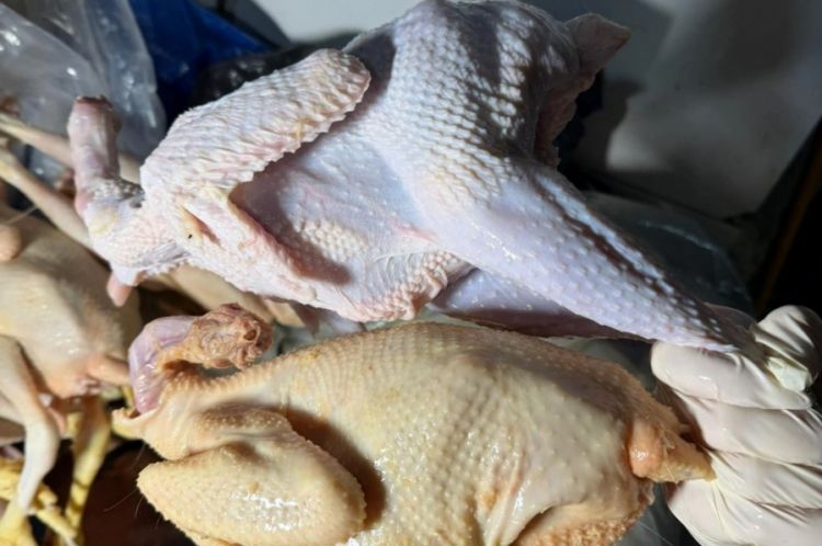 Xırdalanda sintetik maddə ilə rənglənən toyuqların satışının qarşısı alınıb