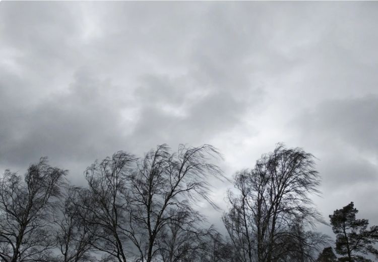 Fövqəladə Hallar Nazirliyi güclü küləklə bağlı əhaliyə xəbərdarlıq edib