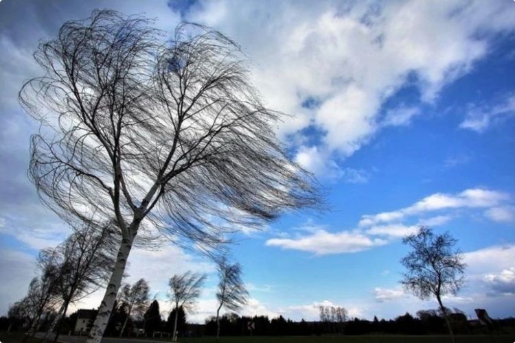 Azərbaycanın rayonlarında güclü külək əsir, qar yağır
