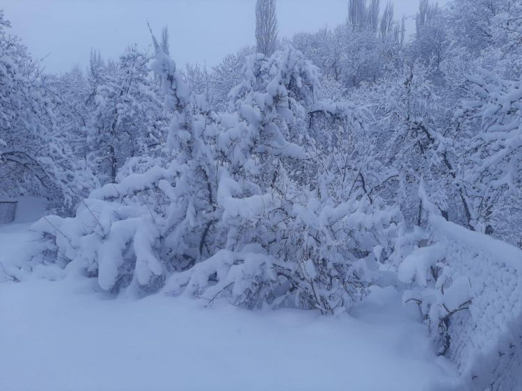 Naxçıvanda qar örtüyünün qalınlığı 61 sm-ə çatıb