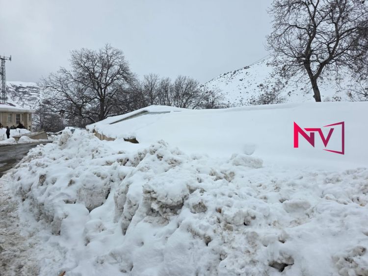 Naxçıvanda 11 dərəcə şaxta qeydə alınıb, qarın hündürlüyü 61 sm-ə çatıb