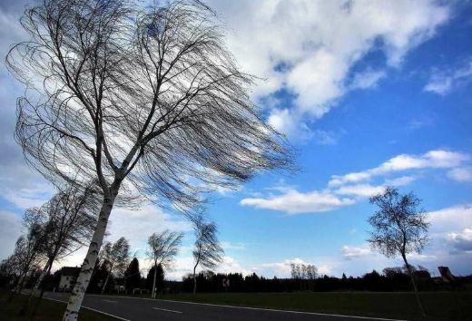 Sabah Azərbaycanda güclü külək əsəcək