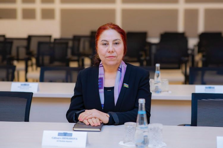 Azərbaycan Mədəniyyətinin Yeni Dövrü və Strateji Baxışı 