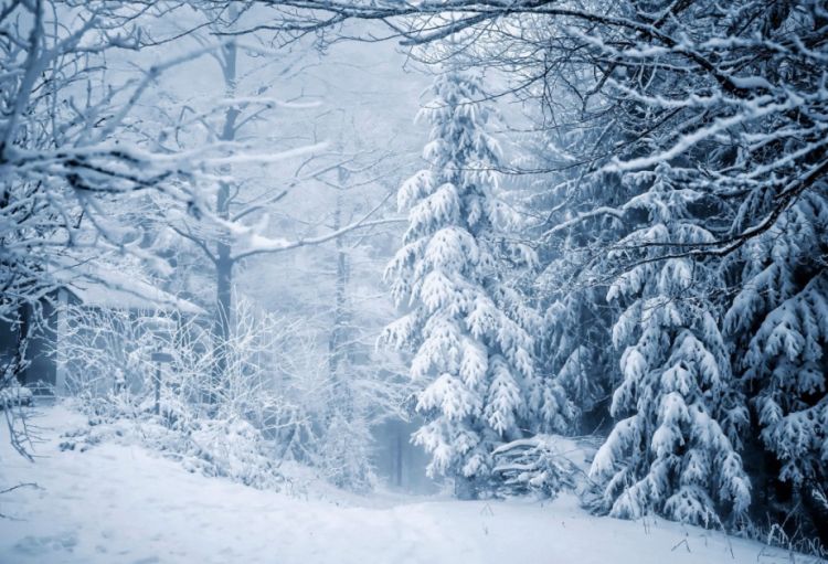 Temperaturun düşməsi okeanda kalsium səviyyəsinin kəskin azalması ilə əlaqələndirilir