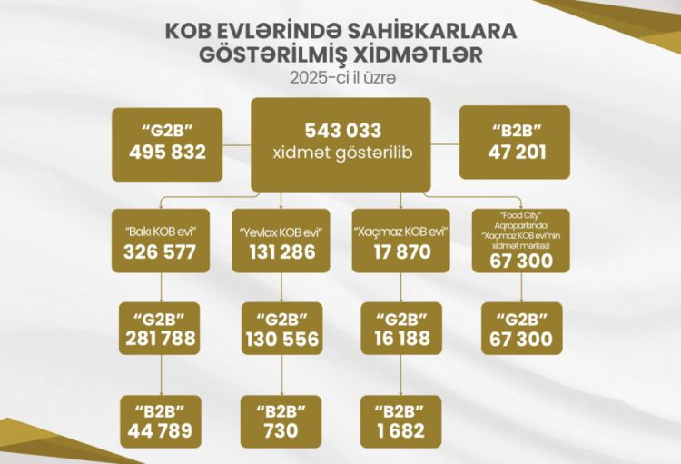 Ötən il KOB evlərində sahibkarlara 543 mindən çox xidmət göstərilib
