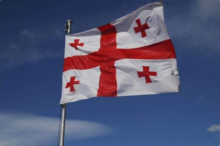 Gürcüstanda qrantlar haqqında qanuna və Cinayət Məcəlləsinə sərt dəyişikliklər təklif olunur