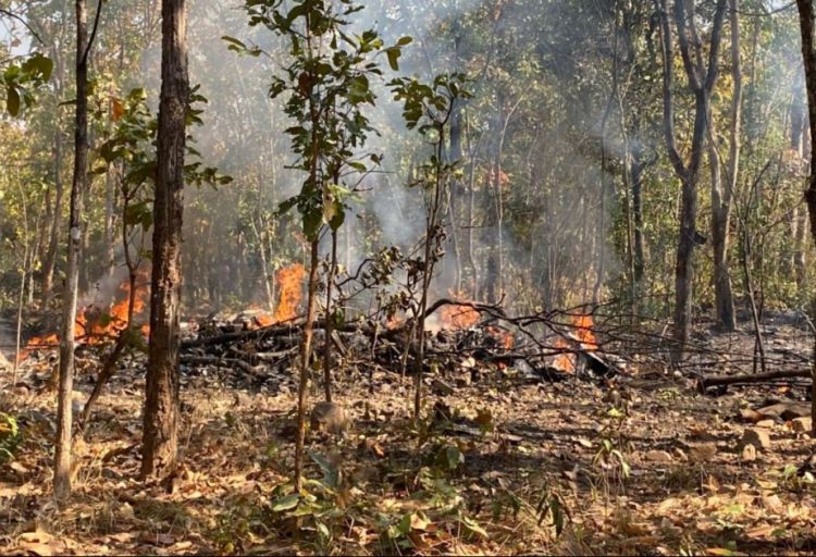 Tailandda hərbi təyyarə qəzaya uğrayıb, 2 pilot ölüb