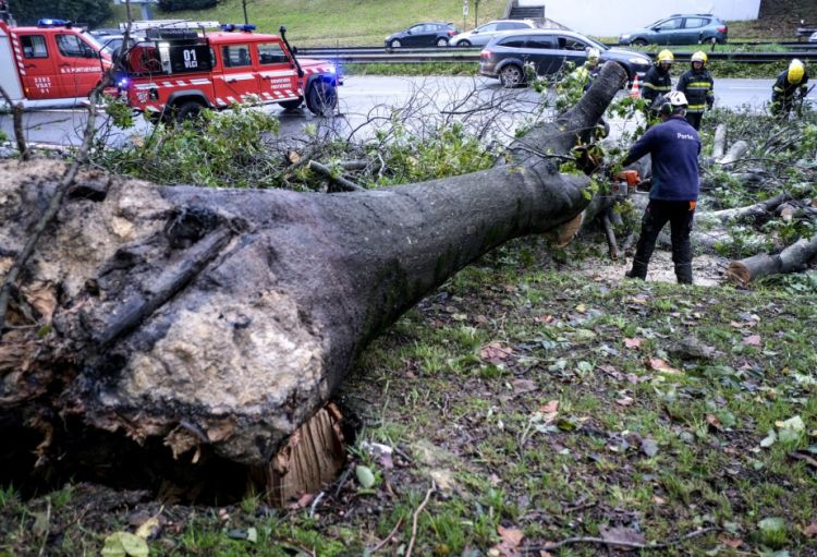 Portuqaliyada fırtına 290 mindən çox evi elektriksiz qoyub