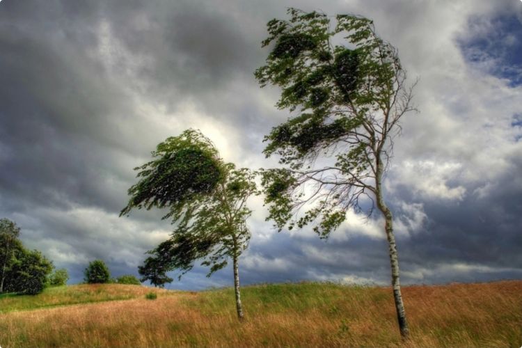 Külək güclənəcək, bəzi yerlərdə qar yağacaq<font color='red'> - PROQNOZ</font>