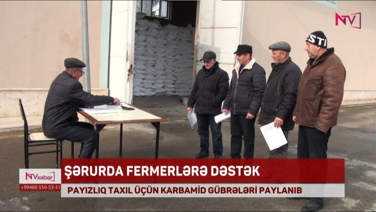 ŞƏRURDA PAYIZLIQ TAXIL ÜÇÜN KARBAMİD GÜBRƏLƏRİ PAYLANILIB<font color=red> - VİDEO</font>
