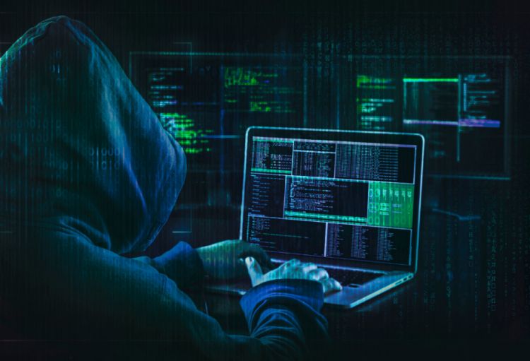 Danimarka hərbi kəşfiyyatı Haker Akademiyasına qəbulu bərpa edib