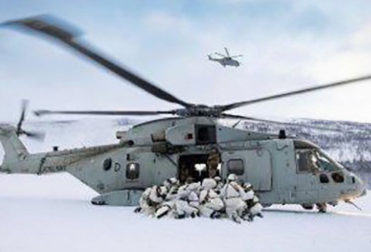 NATO Qrenlandiyada yeni missiya hazırlayır