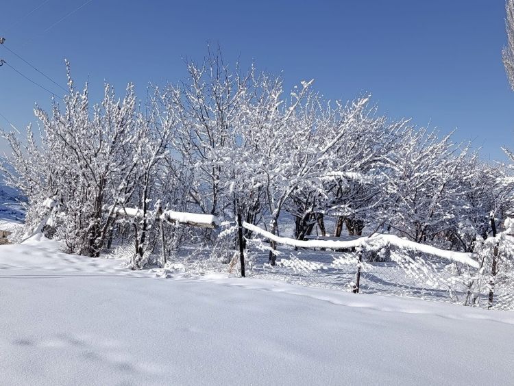 Naxçıvanın yüksək dağlıq ərazilərində qarın hündürlüyü 89 sm-ə çatıb