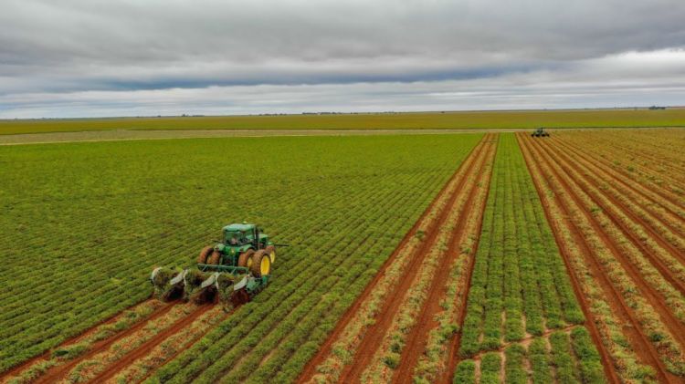 Aqrar Xidmətlər Agentliyi: Ötən il texniki baxışdan keçməyən 763 texnika ilə bağlı cərimə protokolu tərtib edilib