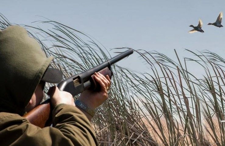 Azərbaycanda yeni yaradılan hər iki milli parkda ova icazə veriləcək