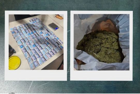 İsmayıllıda narkotiki satış məqsədilə meşədə gizlədən şəxs tutulub