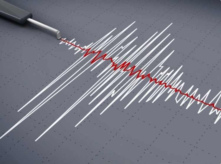 Pakistanda 5,5 maqnitudalı zəlzələ olub