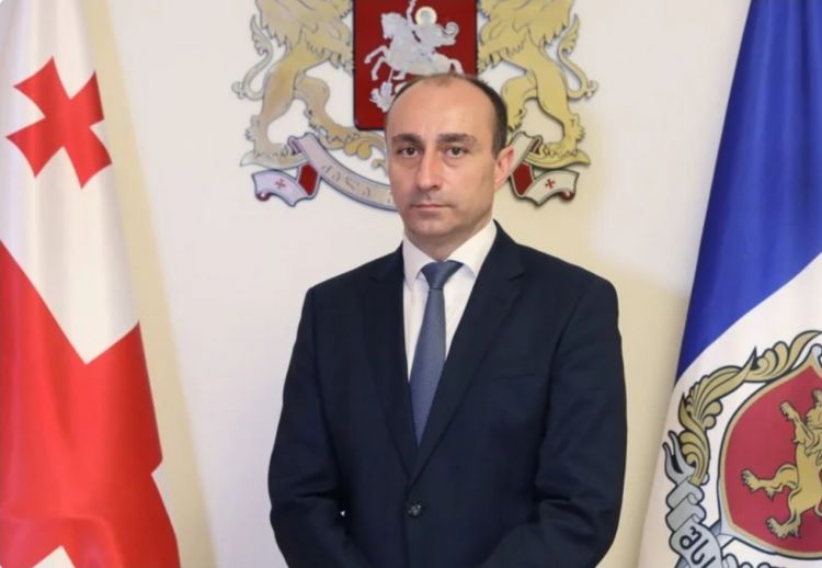 Gürcüstan bu il 4 000-ə yaxın qanunsuz miqrantı ölkədən çıxarmağı planlaşdırır