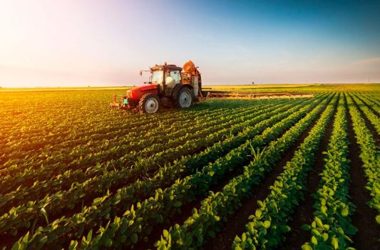 Naxçıvanda kənd təsərrüfatı istehsalı cüzi artıb