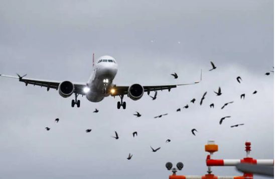 İtaliya Rusiya nümayəndə heyətini Cenevrəyə aparan təyyarənin keçidinə icazə verib