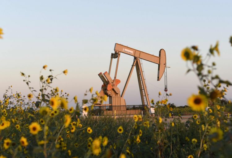 Dünya birjalarında neft qiymətləri müxtəlif istiqamətlərdə dəyişib