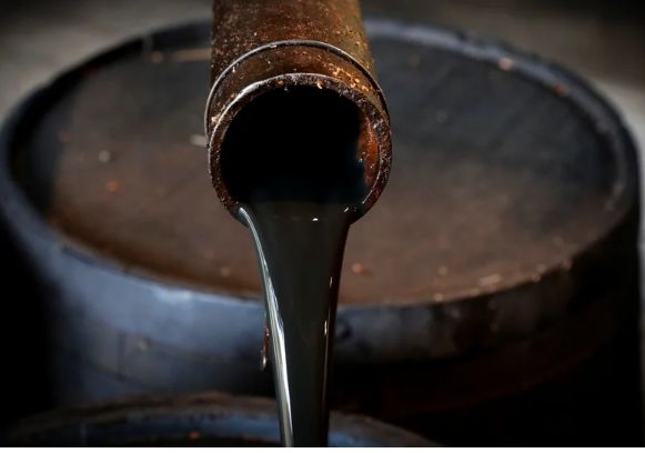 Xorvatiyanın Azərbaycandan idxal etdiyi neftin həcmi açıqlanıb